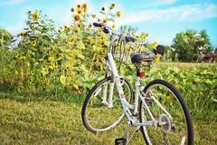 blog_image_4442752E-95C3-4E26-BDF5-32CE2D542D6B.jpeg