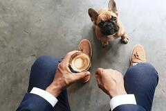blog_image_522EC59B-E73B-4645-A2BD-A11107F77D94.jpeg